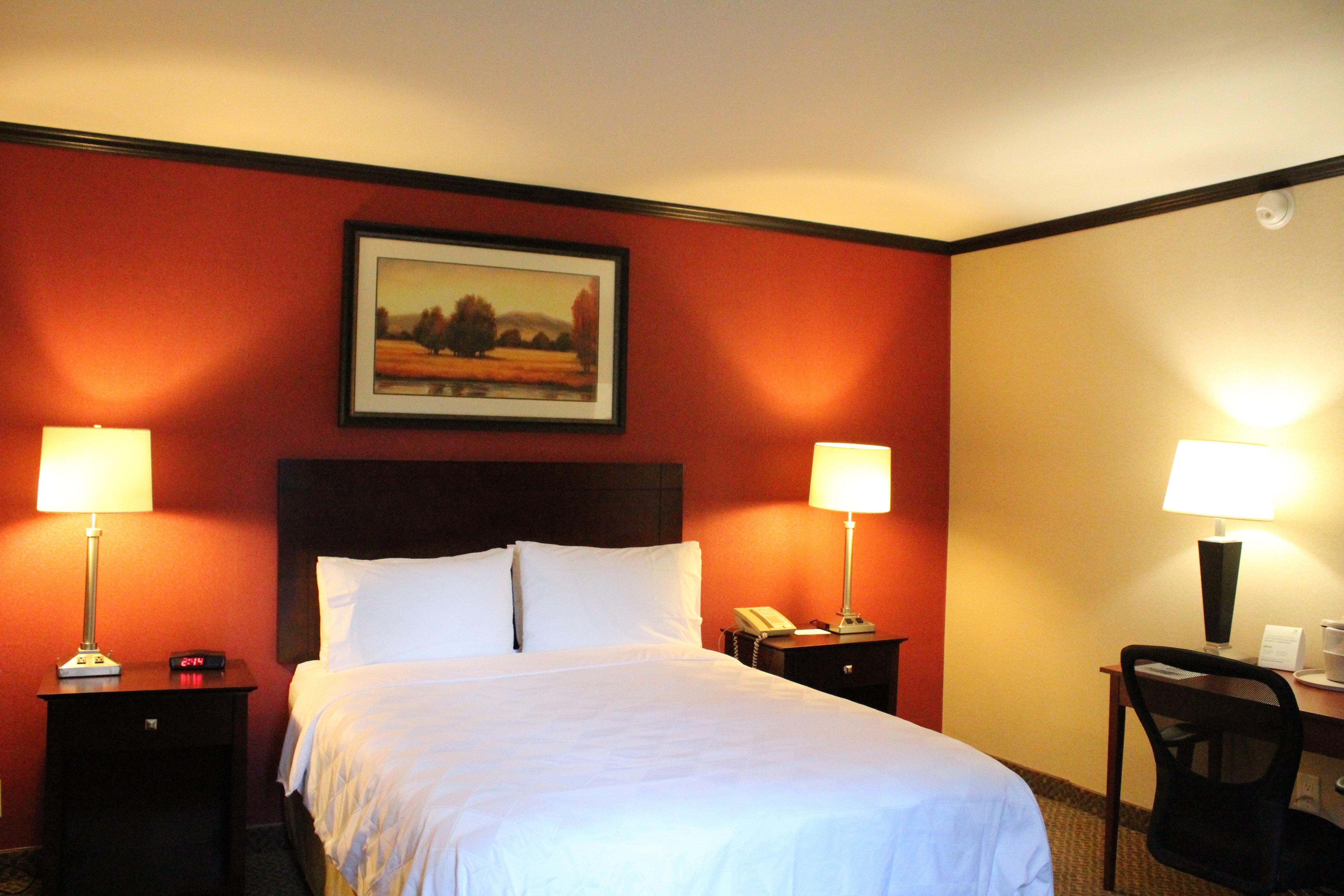 Hotel Burbank Esterno foto